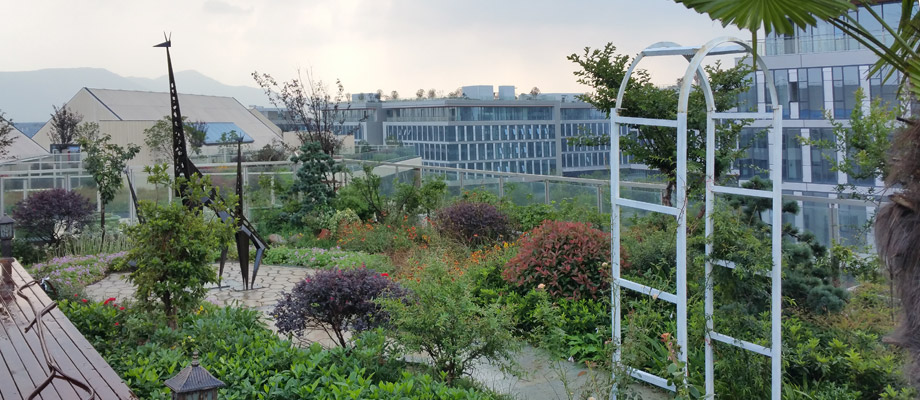 南京萬(wàn)通城市建設設計院弱電系統項目案例。